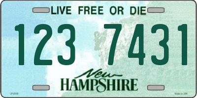 NH license plate 1237431