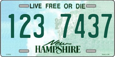 NH license plate 1237437