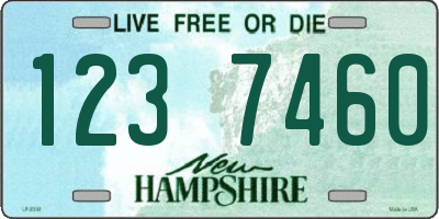NH license plate 1237460