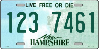 NH license plate 1237461