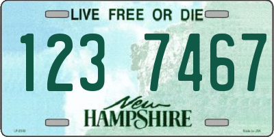 NH license plate 1237467