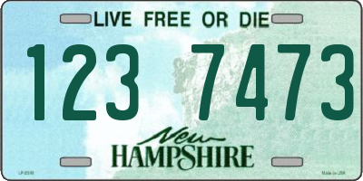 NH license plate 1237473