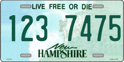 NH license plate 1237475