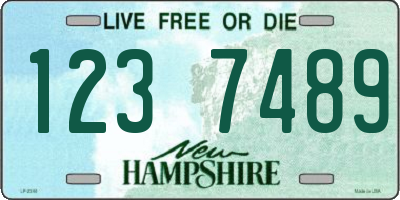 NH license plate 1237489