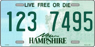 NH license plate 1237495