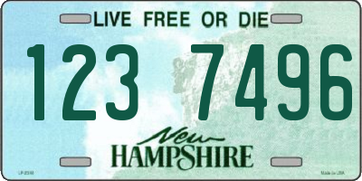 NH license plate 1237496