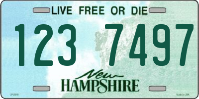 NH license plate 1237497