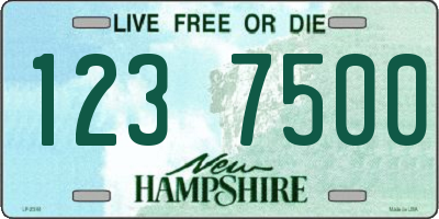 NH license plate 1237500