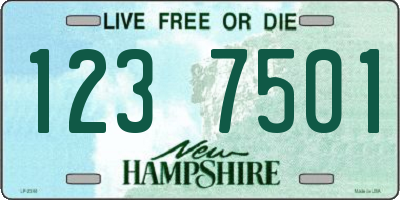 NH license plate 1237501