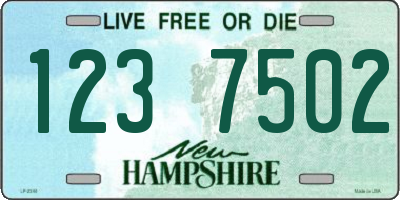 NH license plate 1237502