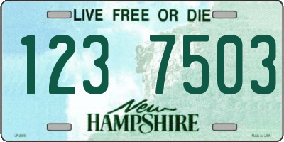 NH license plate 1237503