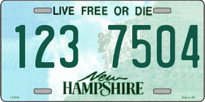 NH license plate 1237504