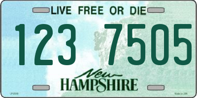 NH license plate 1237505