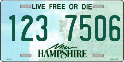 NH license plate 1237506