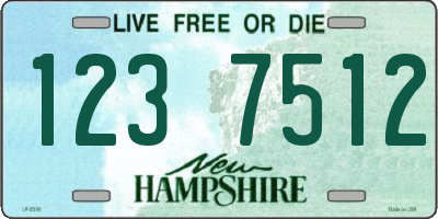 NH license plate 1237512