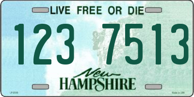 NH license plate 1237513