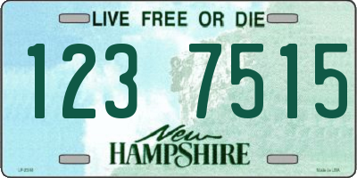 NH license plate 1237515