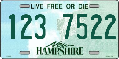 NH license plate 1237522