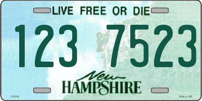 NH license plate 1237523