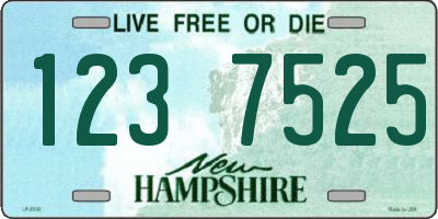 NH license plate 1237525