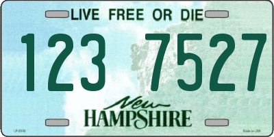 NH license plate 1237527