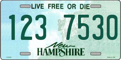 NH license plate 1237530