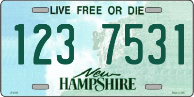 NH license plate 1237531