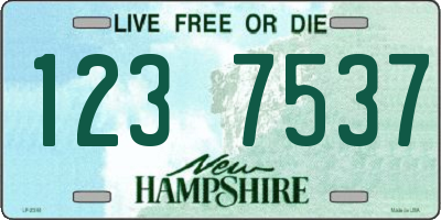 NH license plate 1237537