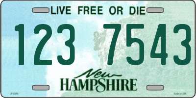 NH license plate 1237543
