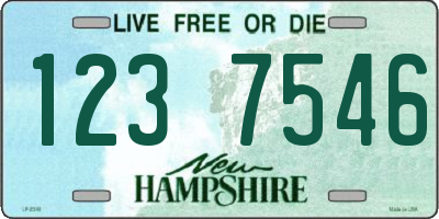 NH license plate 1237546