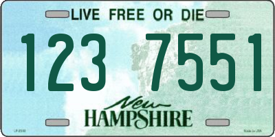 NH license plate 1237551