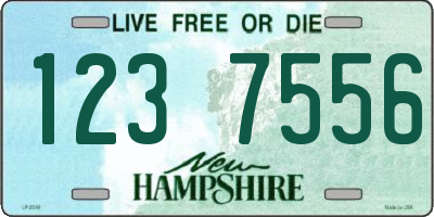 NH license plate 1237556