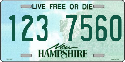 NH license plate 1237560