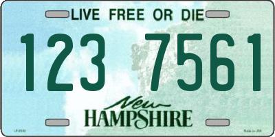 NH license plate 1237561