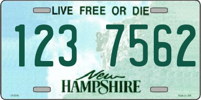 NH license plate 1237562