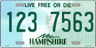 NH license plate 1237563