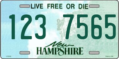 NH license plate 1237565