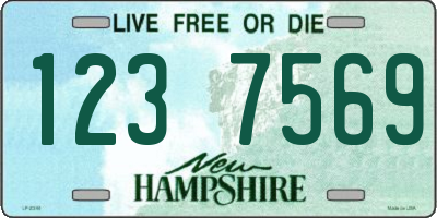 NH license plate 1237569