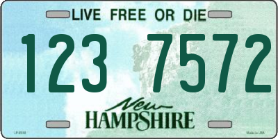 NH license plate 1237572