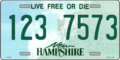 NH license plate 1237573