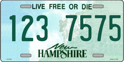 NH license plate 1237575