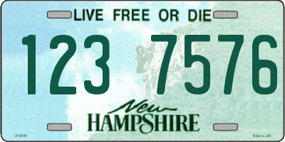 NH license plate 1237576