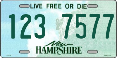 NH license plate 1237577