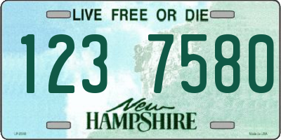 NH license plate 1237580