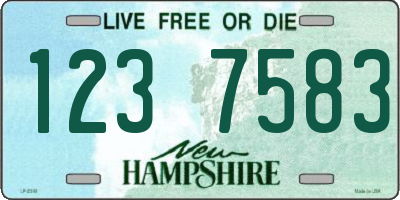 NH license plate 1237583