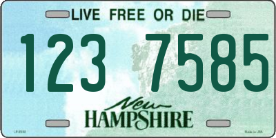 NH license plate 1237585