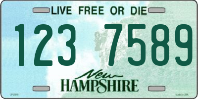 NH license plate 1237589