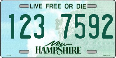 NH license plate 1237592