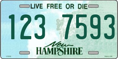 NH license plate 1237593