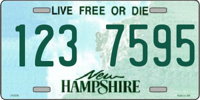 NH license plate 1237595